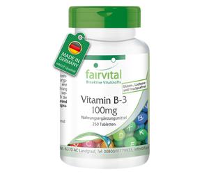 Vitamina B-3 Niacina 100mg Nicotinamide - 250 compresse, confezione grande, V...