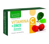 VITAMINA C 500MG+ZI/AC/BA60CPS