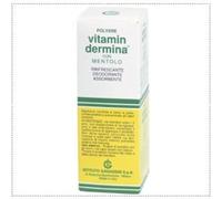 VITAMINDERMINA POLV MENT 100G