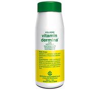 Vitamindermina VITAMINDERMINA POLVERE MENT 100 G