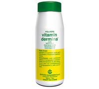 VitaminDermina(R) Polvere Al Mentolo Istituto Ganassini 100g