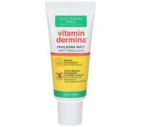 Vitamindermina Sebo Emulsione Matt 40 ml Emulsione