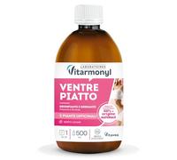 Vitarmonyl Ventre Piatto - Drenante con Thè Verde e Finocchio - Detox da Bere - Contro il Gonfiore - Gusto Limone - 500 ML -