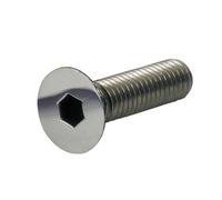 Vite a brugola m10 passo 1,50 x 16 mm, acciaio inox lucidato confezione da 5 Gar