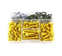 Vite a bullone Compatibile Con BMW R1150R R1200R RS R1250RT R1200RT ST GS LC/ADV Kit Viti E Bulloni Carenatura Completa In Alluminio CNC Moto(Gold)