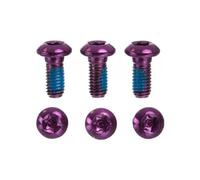 Vite a disco in acciaio inossidabile neatt m5x10 mm viola x6