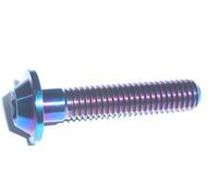 Vite A Testa Bombata T30 Torx M6 10-35 In Titanio Per Macchine Da Corsa