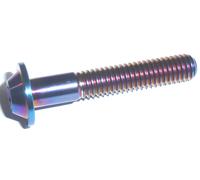 Vite A Testa Bombata T30 Torx M6 10-35 In Titanio Per Macchine Da Corsa