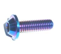 Vite A Testa Bombata T30 Torx M6 10-35 In Titanio Per Macchine Da Corsa