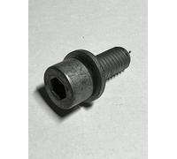 Vite A Testa Cieca M8x20 E Rondella Per Acceleratore GENUINE BMW 07119902140