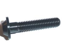 Vite A Testa Esagonale Bassa In Titanio Nera M6 x 30 Con Rondella T30 Torx