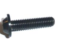 Vite A Testa Esagonale In Titanio Bassa Profilo T30 Torx Nera M6 x 20