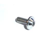 Vite A Testa Esagonale M6 In Titanio T30 Torx Per Carena Da Corsa Strada