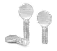 Vite a testa piatta in acciaio inossidabile, Viti a testa piatta in acciaio inossidabile 304 for forchette da girarrosto, confezione da diverse misure(No.1 (6pcs))