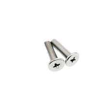 Vite a testa piatta ultra sottile e bassa con impronta a croce Phillips M1.4 M1.6 M2 M2.5 M3 M4 M5 M6 A2-70 304 in acciaio inossidabile(20pcs M6x20mm)