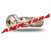 VITE ACCIAIO BREMBO con attacco spurgo attacco per 2 TUBI passo 10 x 1