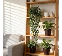 Vite Artificiale da Appendere Datura Set 4 pz Piante Verdi da Interno Lunghe 65