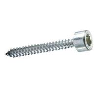 Vite Autofilettante Tcce Ambrovit Zincata Bianca 4,8 x 45 mm 200 Pezzi