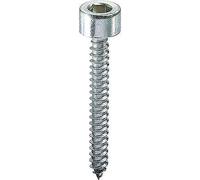 VITE AUTOFILETTANTE TCCE AMBROVIT ZINCATA BIANCA MM 4,8X19 CE 5