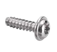 Vite Autofilettante Torx con Testa A Rondella Rotonda in Acciaio Inossidabile M2,6 M3 M4 M5, 20PCS, M5X25mm