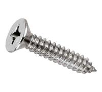 VITE AUTOFILETTANTE TSP ZINCATA 3,9x9,5 mm - 1000 pezzi- AMBROVIT