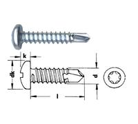 Vite autoforante a testa cilindrica con testa Torx zincata