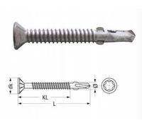 Vite autoperforante per rimorchio in compensato Berner100pz