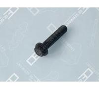 Vite biella 01 0311 366000 OE Germany per CITROËN SUZUKI TOYOTA VOLVO SUBARU VW