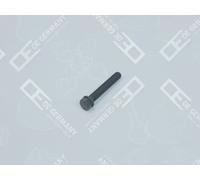 Vite biella 04 0311 101300 OE Germany per OPEL DEUTZ-FAHR