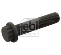 Vite biella Multidentata esterna 09797 FEBI BILSTEIN per MERCEDES-BENZ SETRA