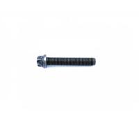 Vite biella Poligonale incassata DRM01996 Dr.Motor Automotive per BMW ALPINA