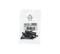 VITE BLOCCAGGIO PASTIGLIE FRENO HAYES RYDE DYNO ELVEDES RICAMBIO BICICLETTA 10