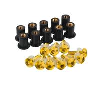 Vite Bulloni E Dadi Filo Compatibile Con CBR1000RR Per Fireblade Per GL1200 Parabrezza Carenatura Cupolino Viti Bulloni Kit 5MM Dadi Kit Bulloni Per Moto