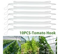 Vite Cetriolo Pepe Pianta Ganci Pomodoro Gancio Frutta e Verdura Gancio