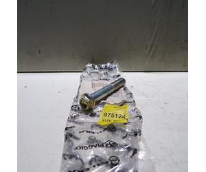 VITE COLLETTORE ASPIRAZIONE 12x80 PER PIAGGIO GILERA NEXUS 300 (975124)