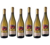 Vite Colte La Gatta 2024 Moscato D'Asti Docg 75 cl 6 Bottiglie