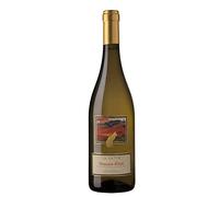 VITE COLTE LA GATTA 2025 MOSCATO D' ASTI DOCG 75 CL