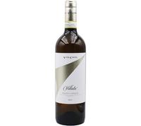 Vite Colte Roero Arneis Villata DOCG 2025