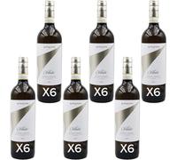Vite Colte Roero Arneis Villata DOCG 2025#BOX 6 BOTTIGLIE