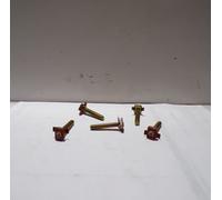 VITE CON GABBIA BATTERIA PER PIAGGIO APE 50 POKER TM 703 (CONFEZIONE DA 5 PEZZI)