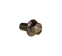 Vite da 20 mm, M10 x 1,25, compatibile con tagliaerba Honda 90105-960-710, resistenza 10,9