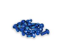 Vite del disco freno Funn Torx T25 (x15) Bleu