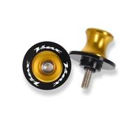 Vite del supporto del forcellone posteriore della Per VMAX1700 1200 530 500z MT10 2016 2017 2018 Viti Per Cavalletto Posteriore, Perno Forcellone, Cursori CNC M8 M10, Accessori Per Moto(WW-5)