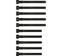 Reinz Kit viti testa cilindri 14-55029-01 poligonale incassata per Toyota