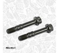 Vite Di Biella VW SEAT AUDI 1,9 2,5 028105425C 028105425N 1100668 1669817 1Z AFF