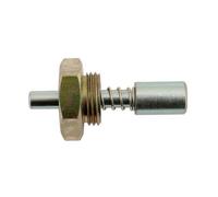 Laser Tools IN Linea Diesel Pompa Bloccaggio Vite - per Bosch 5974
