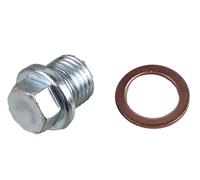 Vite di Chiusura Coppa Olio Testata Cilindro 21mm Sw 13 METZGER per Audi R8 (422