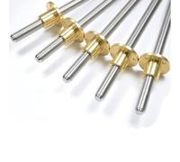 Vite di comando T6, acciaio inossidabile 304 Diametro 6 mm Passo 1 mm Lunghezza 100/150/200/250/300/350/400/500/550 mm Vite di comando con dado in rame, 1 pz
