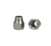 Vite di compressione per tubo Elvedes Argento