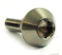 Vite Disco Freno M6X1.00x20mm Di VA A4 per Yamaha XS YZF-R1 YZF-R6 YZF-R7 FZS